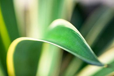 《最终幻想14》7.0更新“黄金的遗产”预告 PC配置提升